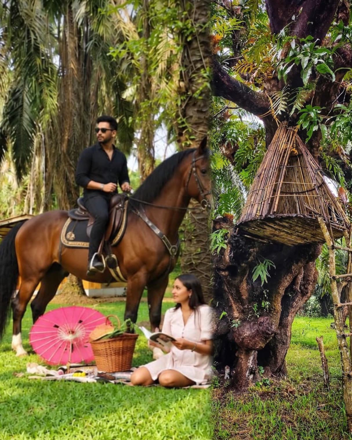 Farm Picnic & Horse Riding